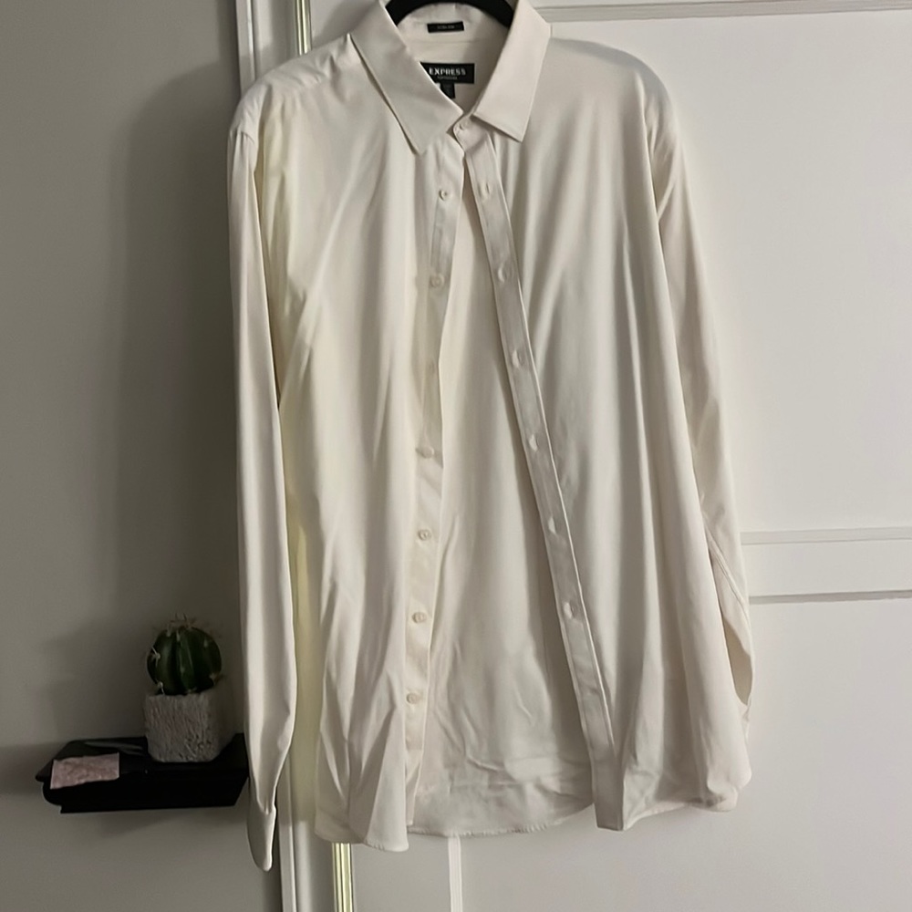 Large Express Mens Dress Shirt